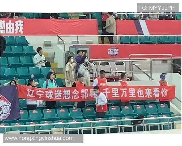 北京首钢与辽宁比赛VIP票价分析及购票指南详解