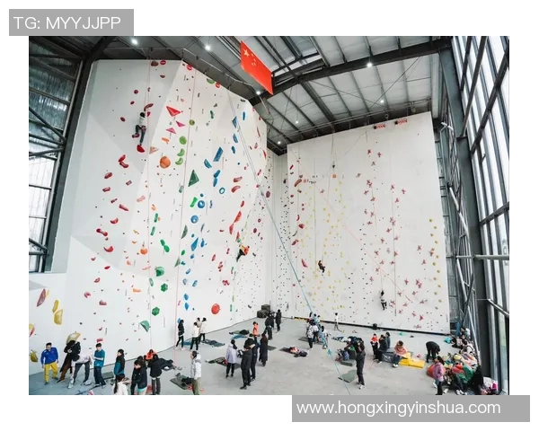 南京攀岩队进攻策略分析与比赛表现的得失总结